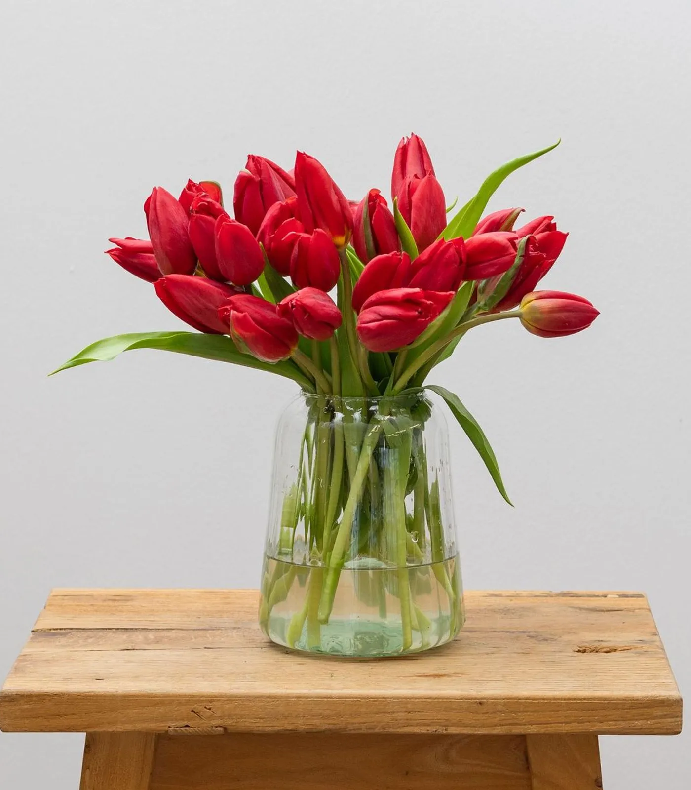 tulipanes-rojos-holandeses-cristal
